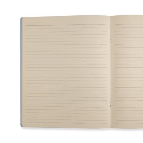 Soft Touch Notebooks Set of 2 Ruled A4 Cropped Mint and Blue