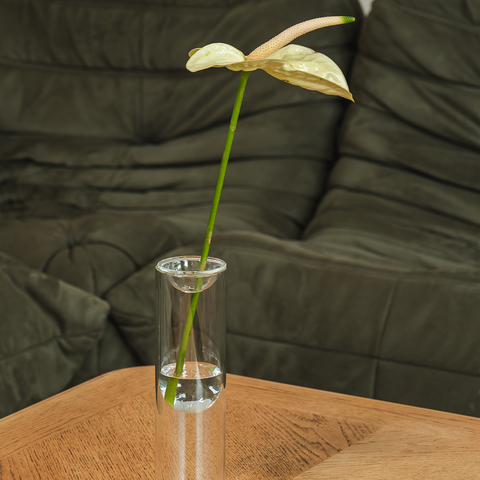 Propagation Vase