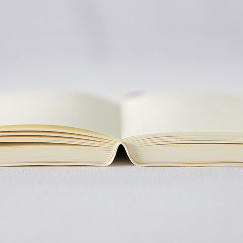 2026 MD Notebook Daily Diary A6