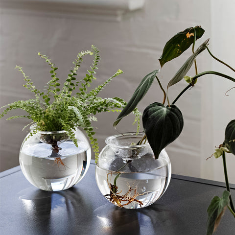 indoor bulb planter Studio Milligram Bulb Planter 10cm Set of 2