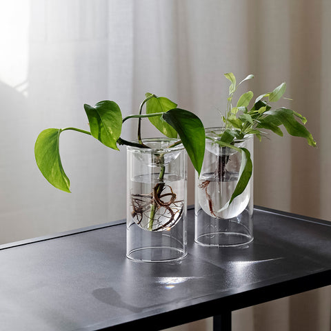 Propagation Vase Small Set of 2