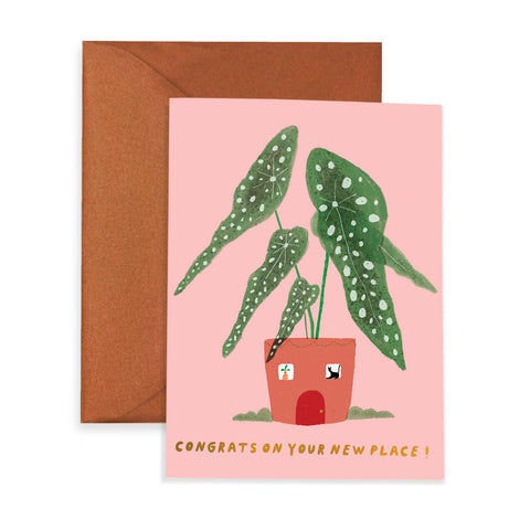 Casita Begonia Greeting Card