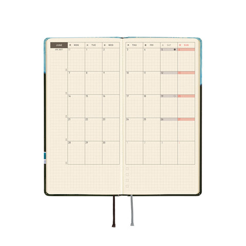 2027 Techo Weeks Planner Meteor Shower in the Light Blue Forest