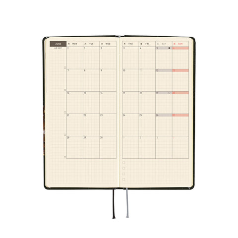 2027 Techo Weeks Planner Starlight