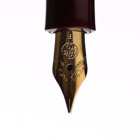 Classic Sport Fountain Pen