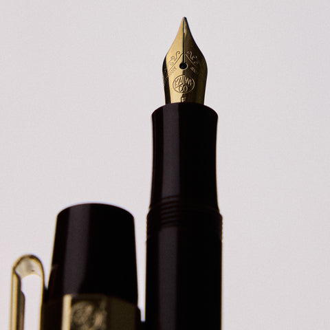 Classic Sport Fountain Pen