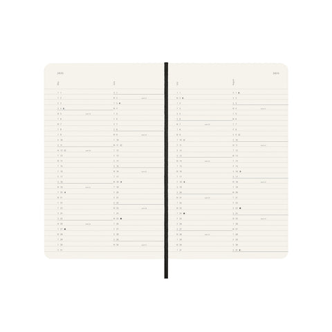 2025 Soft Cover Monthly Diary Large