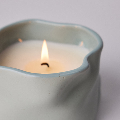 Study Of Trees Limited Edition Scented Candle