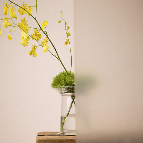 Ikebana Vase Medium