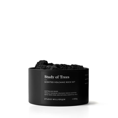 Study Of Trees Volcanic Rocks Tin