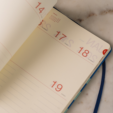 WEEKLY DIARIES
