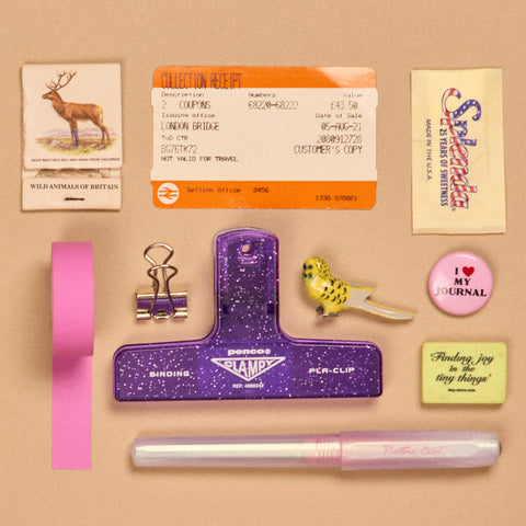 Glitter Plastic Clip