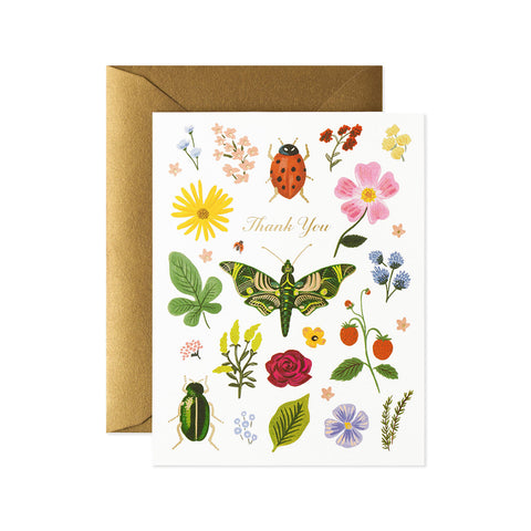 Curio Thank You Greeting Card