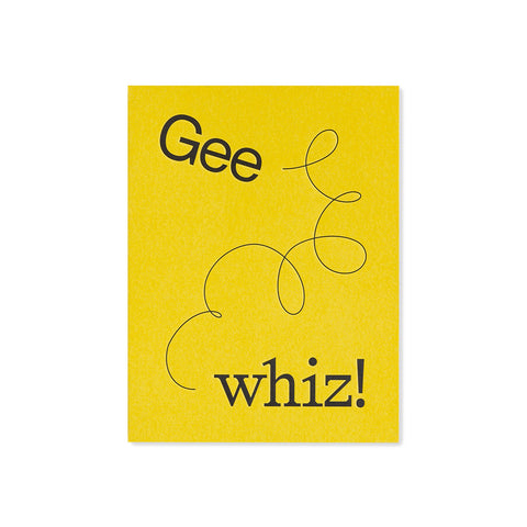 Gee Whiz Greeting Card