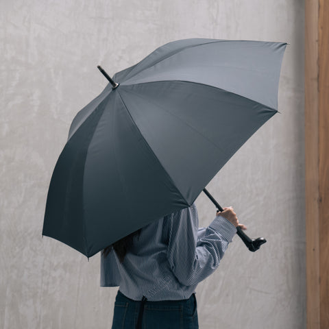 Large Animal Head Umbrella