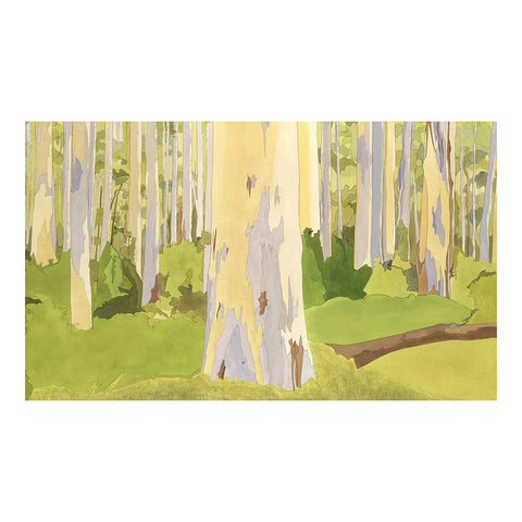 Painting the Ancient Land of Australia