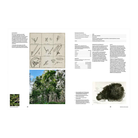 Psychoactive Plants and Fungi