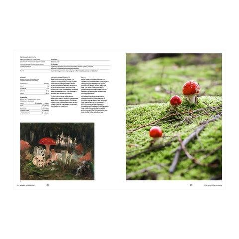 Psychoactive Plants and Fungi