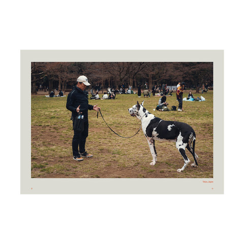 Dog's Best Friend