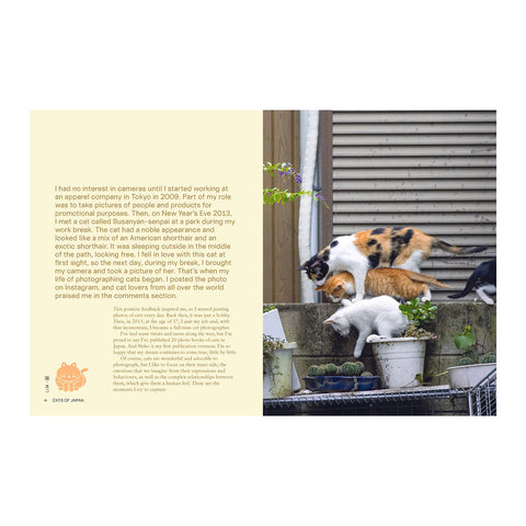 Neko: Cats of Japan