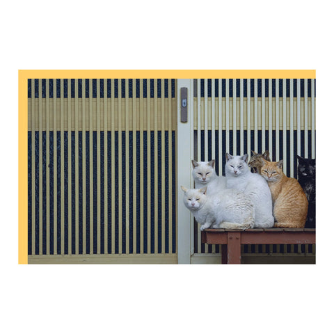 Neko: Cats of Japan