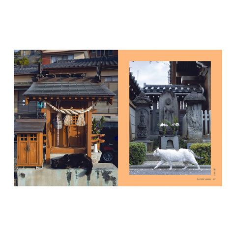 Neko: Cats of Japan
