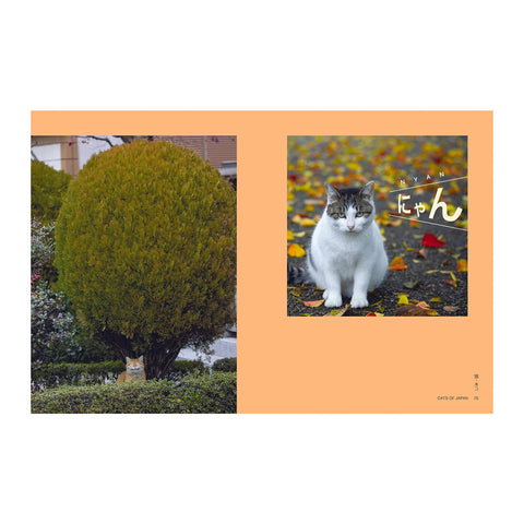 Neko: Cats of Japan