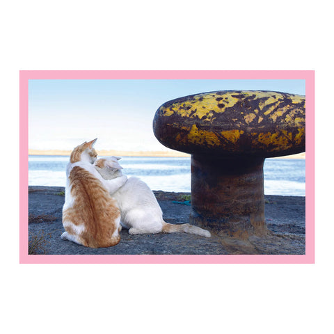 Neko: Cats of Japan