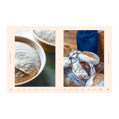 The Baker's Percentage