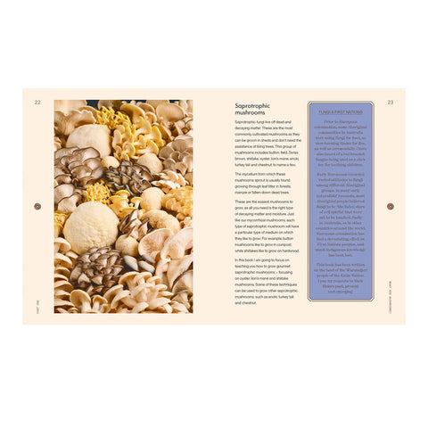 The Mushroomery
