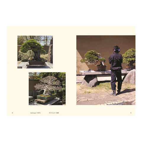 DayTripper: Tokyo