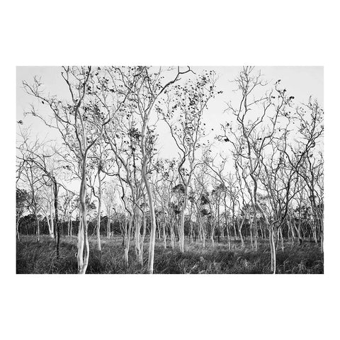 William Yang: Seeing and Being Seen
