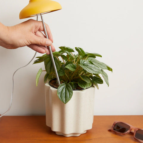 Instant Sun Glow Lamp