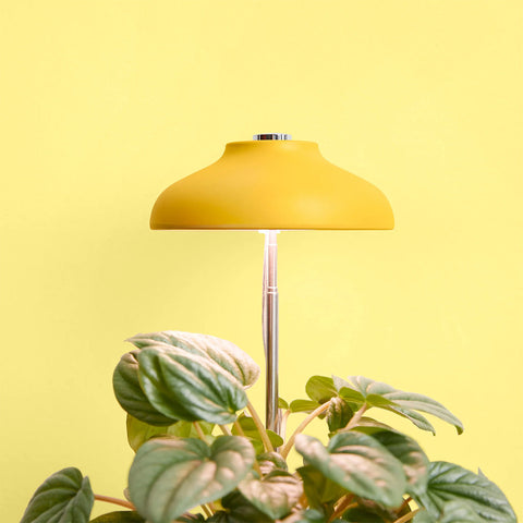 Instant Sun Glow Lamp
