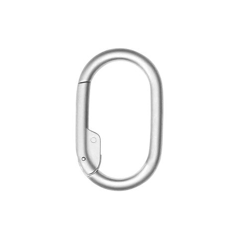 Clip v2 Carabiner